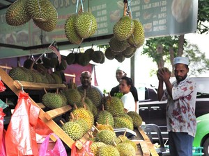 Suka Durian Monthong Thailand? Ini 5 Tips Jitu Memilihnya