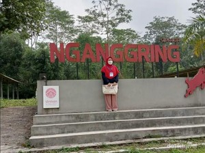 Belajar Ternak Kambing di Jogja? Cobalah ke Desa Ini