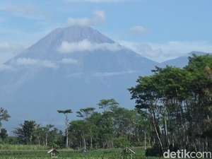 Gunung Semeru Erupsi, Luncurkan Abu Vulkanik Setinggi 700 Meter