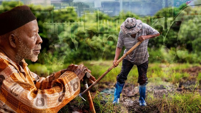 Awas! RI Menua dengan Cepat, Ini 10 Provinsi dengan Lansia Terbanyak
