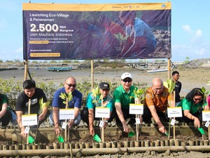 Maybank Marathon 2024 Ajak Peserta Jaga Lingkungan dengan Tanam Mangrove