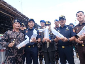 Bea Cukai Batam Gagalkan Upaya Penyelundupan 795.500 Ekor Benih Lobster