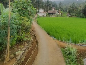 Misteri Kuda Gonjreng yang Hantui Warga Bangbayang Ciamis