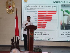 Wamentan Pastikan Program Optimasi Lahan di Sumsel Berjalan Lancar