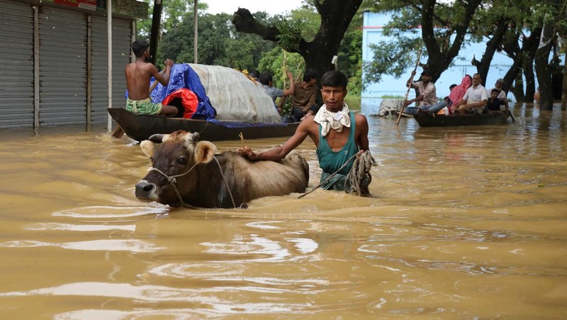 Foto udara menampilkan daerah yang terkena banjir di Feni, Bangladesh, Sabtu (24/8/2024). (REUTERS/Mohammad Ponir Hossain)
