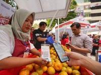Berkat Pemberdayaan BRI, Usaha Klaster Jeruk Ini Makin Berkembang