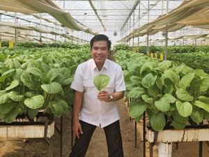 Produksi Beras Agustus-Oktober Naik, Program Pompanisasi Dinilai Berhasil