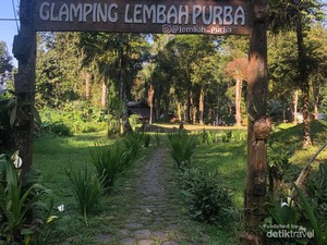 Nagih Banget! Glamping di Tengah Hutan Gunung Gede Pangrango