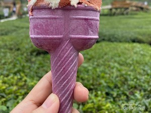 Kebun Teh Sikatok, Destinasi Wonosobo yang Cocok untuk Keluarga