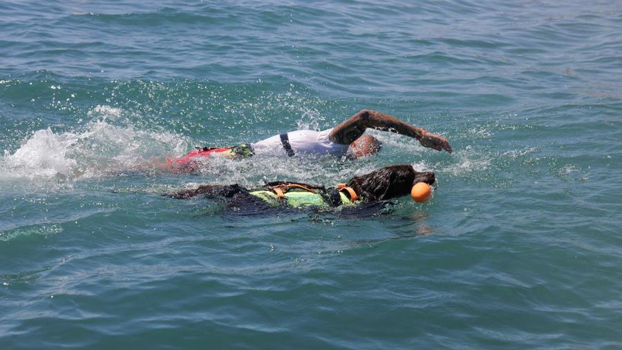 Pantai Levante di Spanyol memiliki sekelompok anjing yang terlatih untuk menyelamatkan pengunjung yang terbawa arus air. (REUTERS/Jon Nazca)