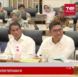 Wuih! Mentan Amran Minta Anggaran Tahun 2025 Ditambah Rp68 Triliun