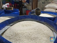 Bank Dunia Tuding Beras RI Termahal di ASEAN, Cek Harga Hari Ini