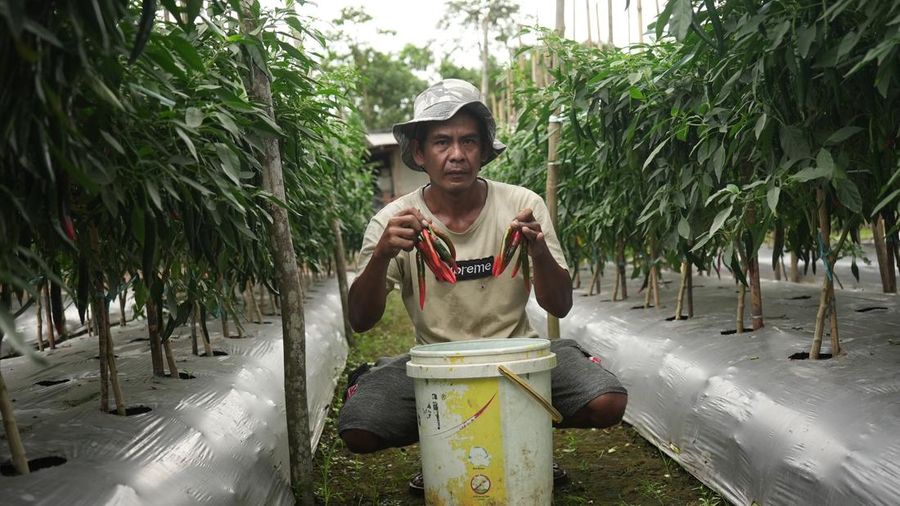 IMIP Gandeng Kelompok Tani Bahodopi Bangun Pertanian Presisi (Dok IMIP)