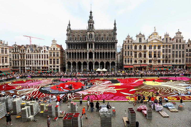Karpet bunga bertema ''Art Nouveau'' seluas 1.680 meter persegi, dibuat oleh tim yang terdiri dari sekitar 100 tukang kebun menggunakan ratusan ribu dahlia dan begonia, terlihat di Grand Place Brussels, Belgia, 15 Agustus 2024. (REUTERS/Yves Herman)