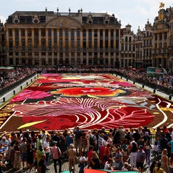 Potret Karpet Bunga Raksasa Digelar di Tengah Kota Brussels Belgia