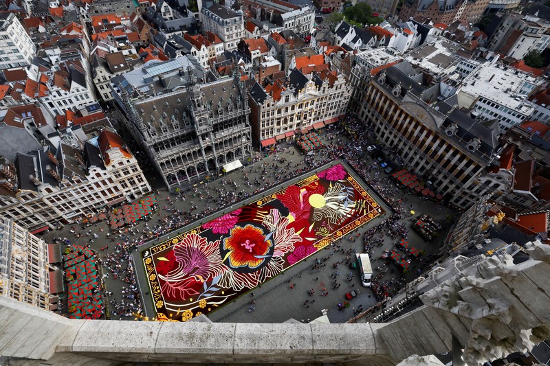 Karpet bunga bertema ''Art Nouveau'' seluas 1.680 meter persegi, dibuat oleh tim yang terdiri dari sekitar 100 tukang kebun menggunakan ratusan ribu dahlia dan begonia, terlihat di Grand Place Brussels, Belgia, 15 Agustus 2024. (REUTERS/Yves Herman)