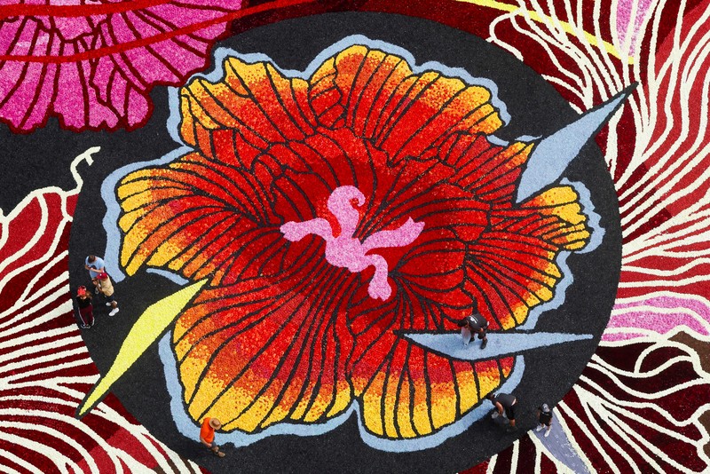Karpet bunga bertema ''Art Nouveau'' seluas 1.680 meter persegi, dibuat oleh tim yang terdiri dari sekitar 100 tukang kebun menggunakan ratusan ribu dahlia dan begonia, terlihat di Grand Place Brussels, Belgia, 15 Agustus 2024. (REUTERS/Yves Herman)