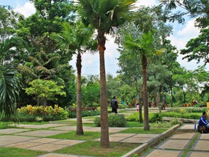 Kebun Bibit Wonorejo: Ruang Hijau di Tengah Kota Surabaya