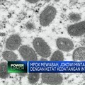 Mpox Mewabah, Jokowi Minta Kedatangan Internasional Diawasi Ketat
