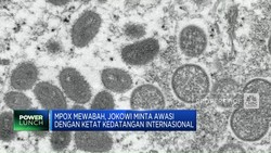 Mpox Mewabah, Jokowi Minta Kedatangan Internasional Diawasi Ketat