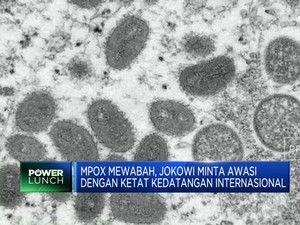 Mpox Mewabah, Jokowi Minta Kedatangan Internasional Diawasi Ketat