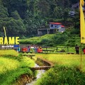 Dukung Pengembangan Ekonomi Desa, Program Desa BRILiaN 2024 Berlanjut