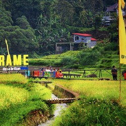 Dukung Pengembangan Ekonomi Desa, Program Desa BRILiaN 2024 Berlanjut