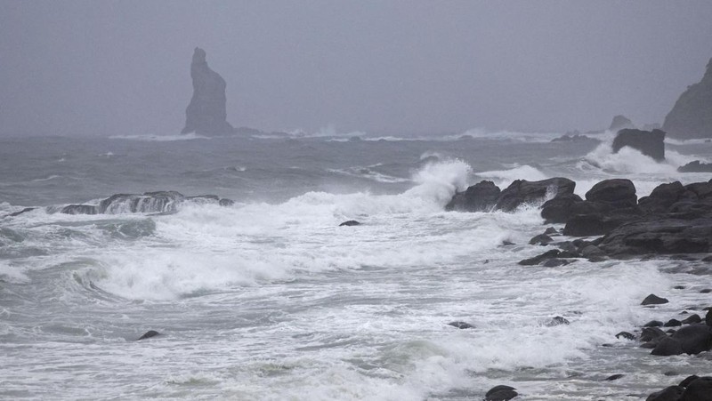 Kendaraan berat terendam air setelah Badai Tropis Maria menerjang daratan, di prefektur Iwate, Jepang utara. (via REUTERS/KYODO)