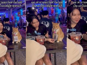 Unik! Ada Kafe Viral Gegara Kasirnya Berbulu