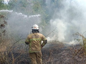 2,7 Hektare Lahan Kosong di Delanggu Klaten Terbakar