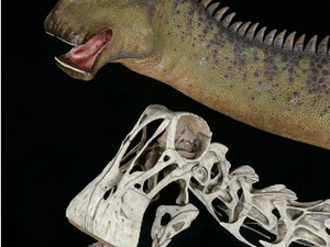 Kenalan dengan Nigersaurus Taqueti, Dinosaurus yang Punya 500 Gigi