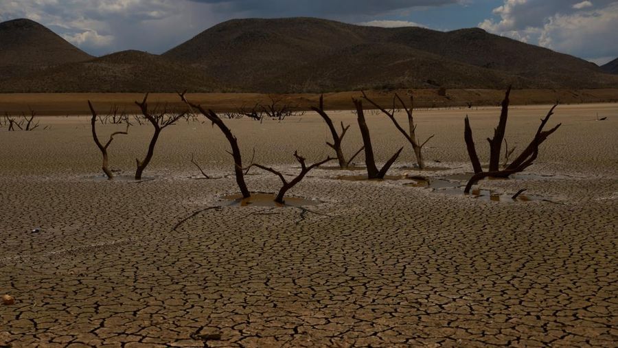 Pemandangan umum menunjukkan dasar bendungan Las Lajas yang kering akibat kekeringan parah, di Buenaventura, negara bagian Chihuahua, Meksiko, 23 Agustus 2024. (REUTERS/Jose Luis Gonzalez)