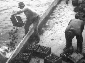 Kenapa Militer Swiss Membuang Senjata ke Danau? Ini Alasannya