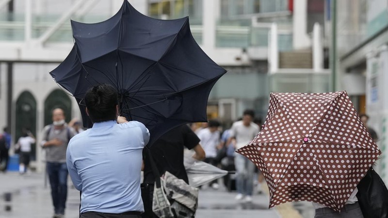 Kendaraan berat terendam air setelah Badai Tropis Maria menerjang daratan, di prefektur Iwate, Jepang utara. (via REUTERS/KYODO)