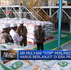 Video: Sri Mulyani 