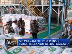 Video: Sri Mulyani "Titip" Perlinsos Harus Berlanjut Di Era Prabowo