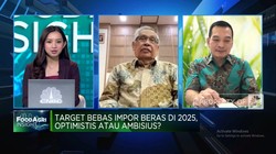 Ada Masalah Pupuk Hingga Air, Yakin RI Bebas Impor Beras di 2025?