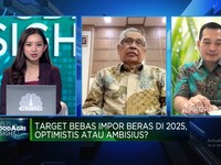 Ada Masalah Pupuk Hingga Air, Yakin RI Bebas Impor Beras di 2025?