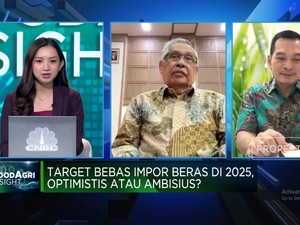 Ada Masalah Pupuk Hingga Air, Yakin RI Bebas Impor Beras di 2025?