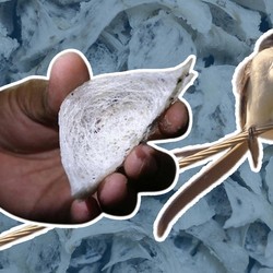 Harta Karun RI Jadi Incaran Seluruh Dunia, Berani Bayar Rp7,4 Juta/Kg