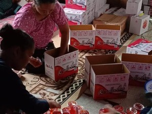 BRI Berdayakan Kampung Rosella di Malang hingga Naik Kelas