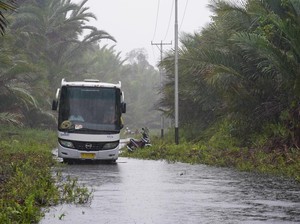 Angkutan Jalan Perintis Sudah Layani Ratusan Trayek di Seluruh Indonesia