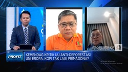 Ada Pasar Lain, Kopi RI Tak Terpengaruh UU Anti-Deforestasi Uni Eropa