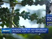 Dijegal Uni Eropa, Ini Keunggulan Kopi RI Yang Diincar ASEAN & Timteng