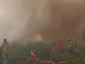 Kebakaran Lahan Gambut di Jambi Meluas, 12 Orang Ditetapkan Tersangka