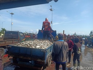 Nelayan Pengambengan Buang Ikan gegara Harga Anjlok