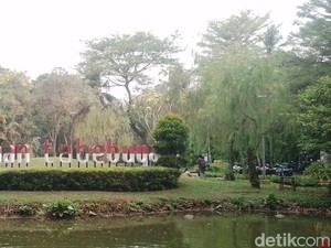 Menyepi di Taman Tabebuya Jakarta Selatan, Saat Berbunga Sungguh Memikat