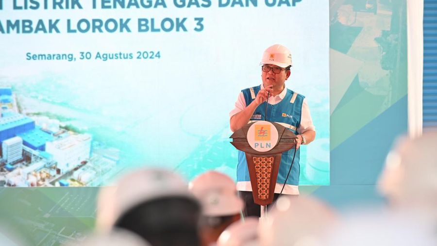 PLN