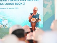 Pakai Teknologi Tercanggih, PLN Operasikan PLTGU Tambak Lorok 779 MW