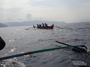 Lumba-lumba Teluk Kiluan yang Bikin Penasaran